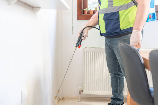 Professional Pest Control in Ville Platte, LA