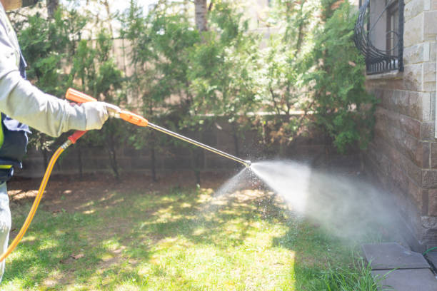 Best Spider Control Near Me  in Ville Ptte, LA